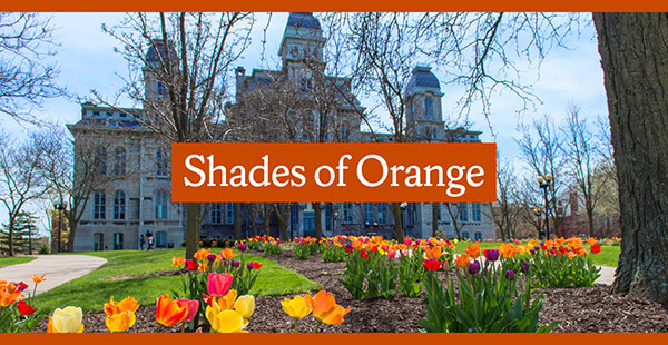 Photo: Hall of Languages in spring with text: "Shades of Orange"